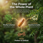 Neem 90 Capsules Bottle - Image 2