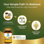 Liv Fit 90 N Veg Capsules | Detox & Repair Fatty Liver Formula | For Healthy Liver || Best Capsule for Liver - Image 6