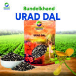 Organic Wellness Urad Dal Split - 450 grams