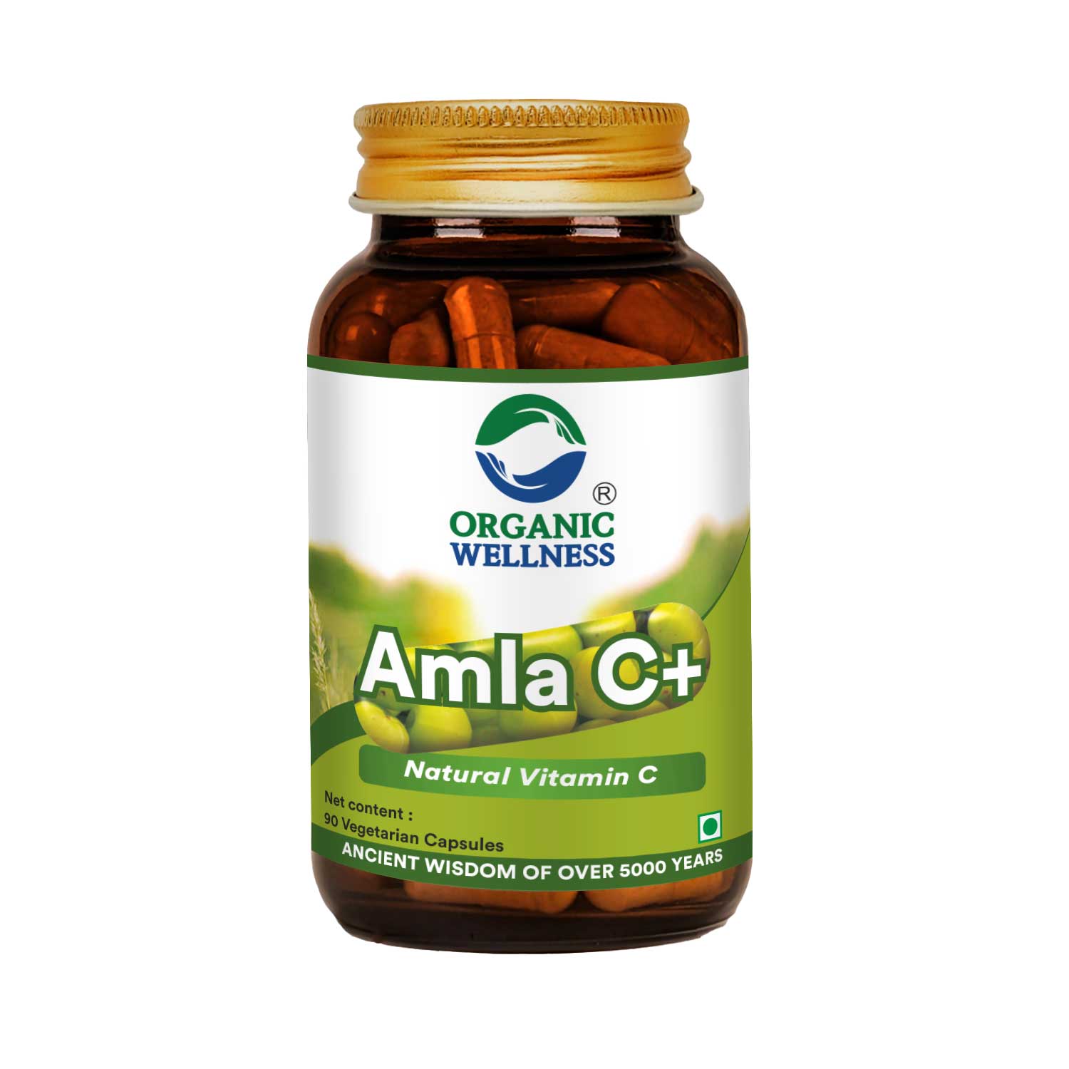 Organic Wellness Amla C+ Natural Vitamin C 90 Vegetarian Capsules Glass Bottle
