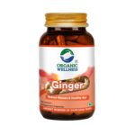 Ginger 90 Vegetarian Capsules