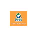 Organic Wellness Gurmaar Gymnema Sylvestre 25 Teabags - Image 6