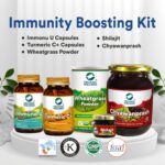 Organic Wellness Immunity Kit Assortment