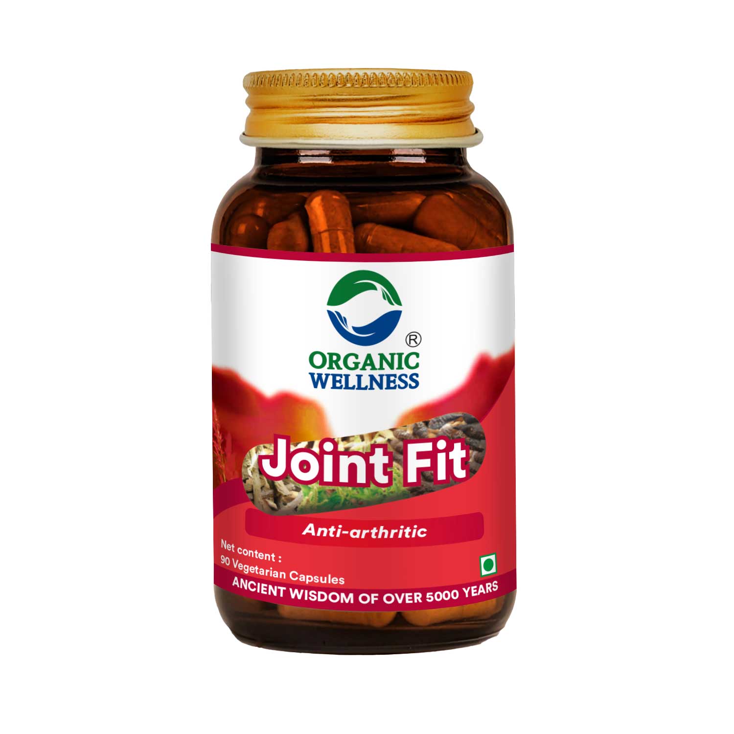 Organic Wellness Heal 90 Vegetarian Capsules Joint Fit Bottle