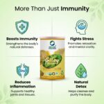 Organic Wellness Giloy Powder - 100 gm - Image 6