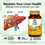 Liv Fit 90 N Veg Capsules | Detox & Repair Fatty Liver Formula | For Healthy Liver || Best Capsule for Liver - Image 2