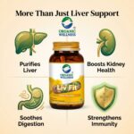 Liv Fit 90 N Veg Capsules | Detox & Repair Fatty Liver Formula | For Healthy Liver || Best Capsule for Liver - Image 4