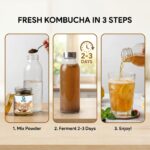 Indian Kombucha 100 Gram Bottle - Image 5