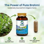 Organic Wellness Brahmi+ 90 Capsules II Memory Booster - Image 9