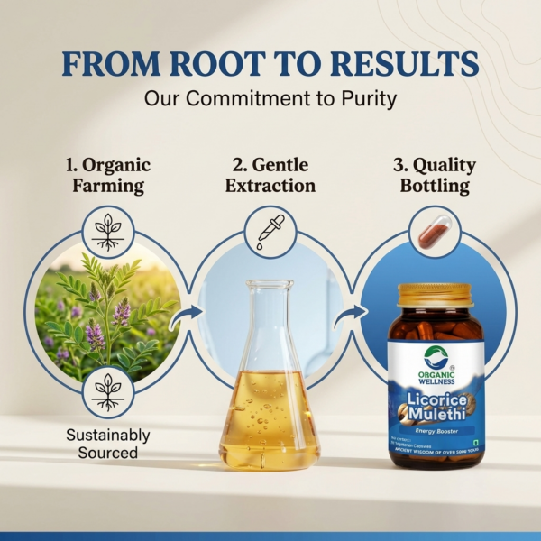 Key health benefits and wellness features of Organic Wellness Licorice 90 Capsules Bottle
