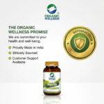 Garlic 90 Vegetarian Capsules - Image 12