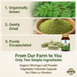 Moringa Essential Nutrition 90 N Veg Capsules | Sahjan | Drumstick Leaf Powder for Weight Loss - Image 8