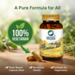 Giloy 90 Capsules - Image 7