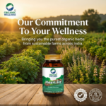 Organic Wellness Heart-Fit 90 Capsules - Image 6