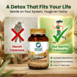 Detox 90 Vegetarian Capsules - Image 8