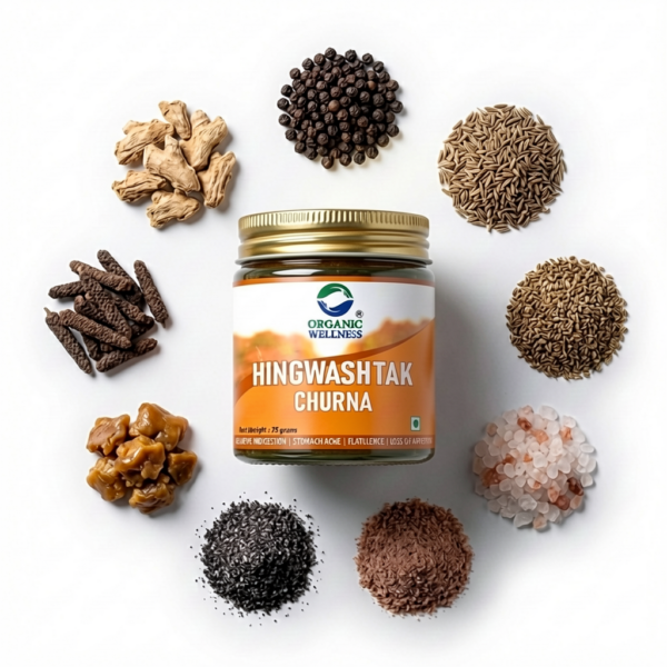 Organic Wellness Hingwashtak Churna, Effective Gastric Stimulant and Digestive Remedy - 75 gm authentic retail packaging front view showcasing bottle / container, brand logo, and certified organic seal