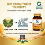 Organic Wellness Cinnamon 90 Vegetarian Capsules - Image 9