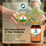 Diabo-Fit 90 Capsules - Image 6