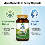 Moringa Essential Nutrition 90 N Veg Capsules | Sahjan | Drumstick Leaf Powder for Weight Loss - Image 9
