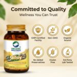 Giloy 90 Capsules - Image 8