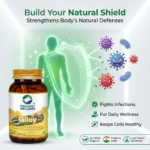 Organic Wellness Fat-Fit 90 Capsules - Image 8