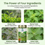 Tulsi Green Tea Classic 100 grams Tin Pack - Image 5