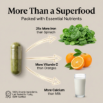 Moringa Essential Nutrition 90 N Veg Capsules | Sahjan | Drumstick Leaf Powder for Weight Loss - Image 6
