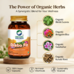 Diabo-Fit 90 Capsules - Image 4