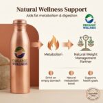 Organic Wellness Copper Bottle 900 Ml - Image 8