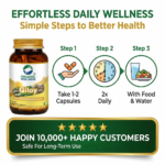 Giloy 90 Capsules - Image 4
