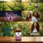 Bhringraj 90 Vegetarian Capsules - Image 3