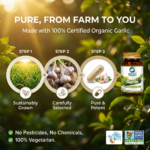 Garlic 90 Vegetarian Capsules - Image 6