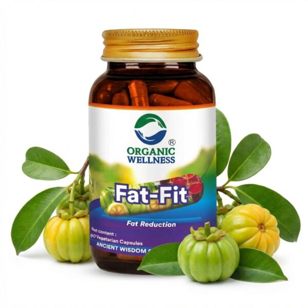 Organic Wellness Fat-Fit 90 Capsules