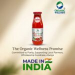 Organic Wellness Chilli Moringa Tomato Sauce 350g | 100% Natural | 85% Fresh Tomatoes | No Chemicals, No Added Colors, No CornStarch, No Oils, No Preservatives, No Thickeners (Pack-1) - Image 4