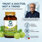 Amla Capsules - Vitamin C - Antioxidant - 90 Veg Capsules - Image 5