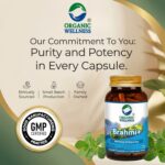 Organic Wellness Brahmi+ 90 Capsules II Memory Booster - Image 4
