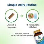Organic Wellness Brahmi+ 90 Capsules II Memory Booster - Image 3