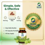 Amla Capsules - Vitamin C - Antioxidant - 90 Veg Capsules - Image 4