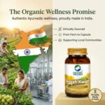 Ayush Kwath 90 Capsules - Image 4
