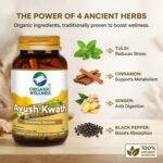 Ayush Kwath 90 Capsules - Image 2