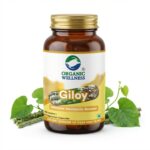Giloy 90 Capsules