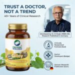 Giloy 90 Capsules - Image 2