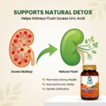 Organic Wellness Uric Balance for Controls High Uric Acid || Joint Pain Problems || Kidney Health Support || Cleanses Uric Acid (90 N Veg Capsules) - Image 7