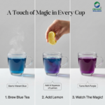 Organic Wellness 100% Natural Herbal Tea Butterfly Pea Flower Tea I Caffeine Free for Stress Relief I Memory Boosting Tea | Calming Tea, Brain Stimulant, Rich in Antioxidants (50 Gm) - Image 7