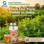 Organic Wellness Tulsi Ginger 100 grams Tin Pack - Image 8