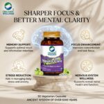 Organic Wellness Neuro Care || Nervous System Support || Brain Nerve Balance Supplement || (90 N Veg Capsules) - Image 3