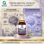 Organic Wellness Neuro Care || Nervous System Support || Brain Nerve Balance Supplement || (90 N Veg Capsules) - Image 2
