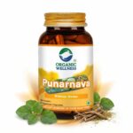 Punarnava 90 Capsules