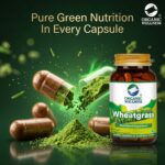 Wheat Grass 90 Capsules Bottle - Image 6