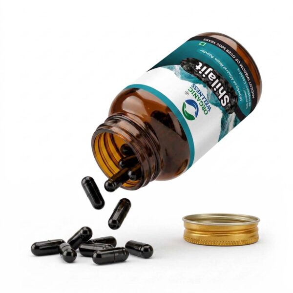 Organic Wellness Pure Himalayan Shilajit Capsules – Mineral Resin Powder for Energy & Stamina (60 Vegan Caps)